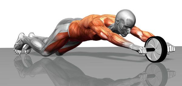 Quali muscoli possono essere allenati